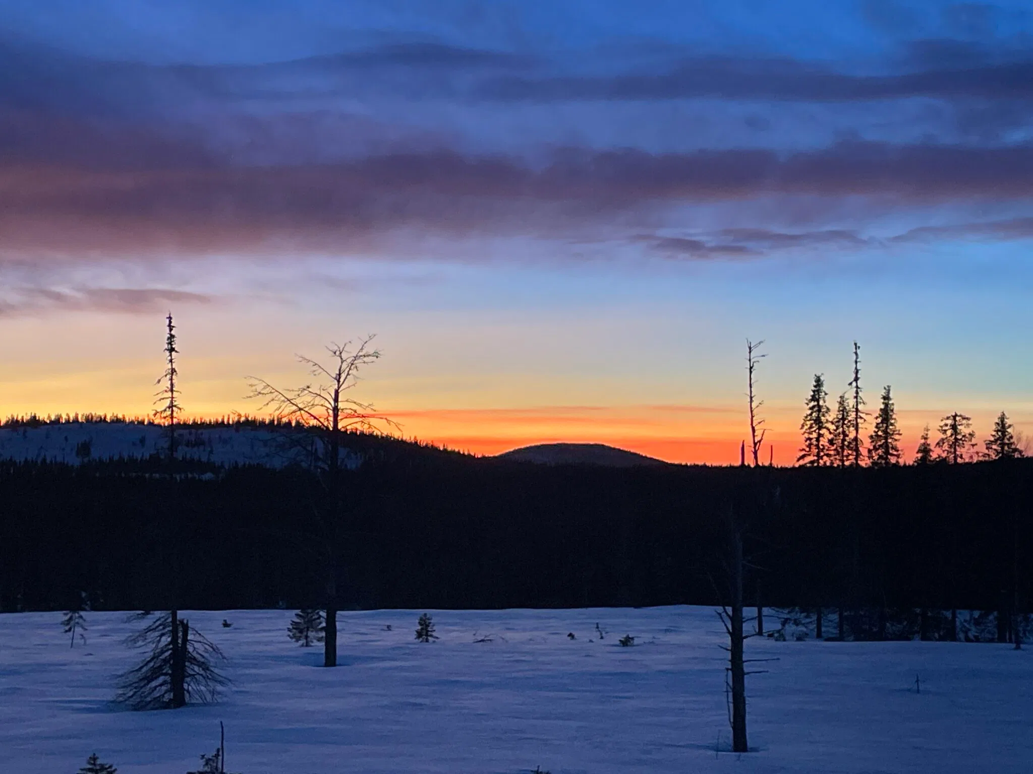 Sonnenuntergang in der Region Norrbotten in schwedisch Lappland.